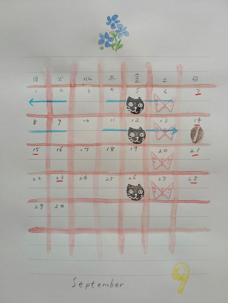 555.jpg